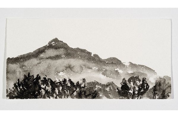 Making Space XXXVII, encre sur papier Strathmore Watercolour, 12x6p.